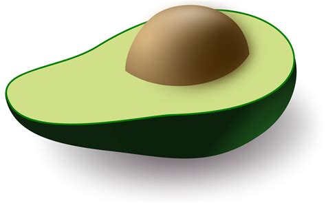 The avocado (persea americana), a tree likely originating from southcentral mexico, is classified as a member of the flowering plant family lauraceae. Avocado PNG