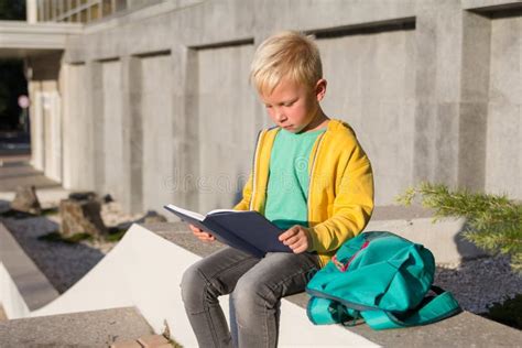 Cute Schoolboy With Books And A Backpack Stock Image Image Of