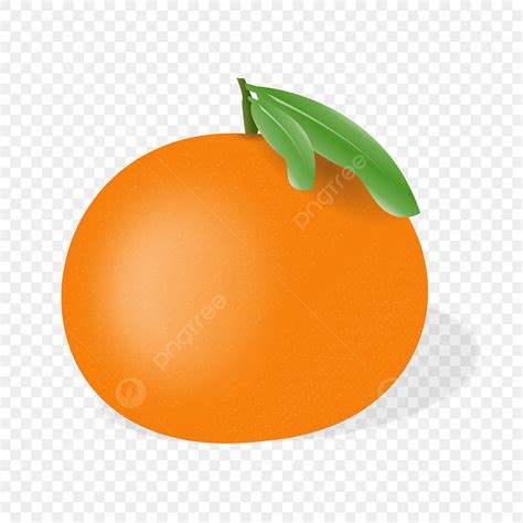 Fruta Naranja Realista En La Superficie Con Sombra PNG Naranja Naranja Vector Naranja PNG