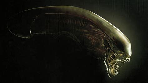 Finally, there are numerous films about. 40 ans Alien : 35 secrets sur le film culte de Ridley ...