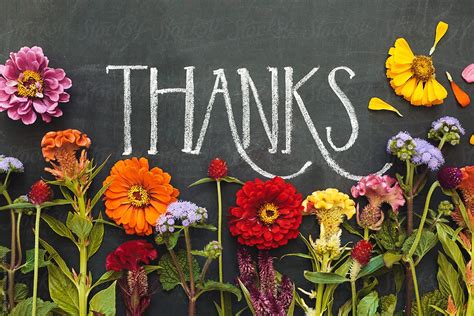 Check spelling or type a new query. Chalkboard "Thanks" Surrounded By Flowers | Stocksy United
