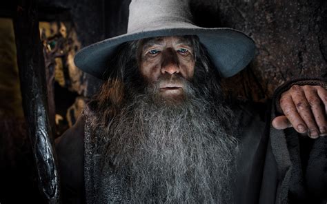 Gandalf Radagast The Hobbit The Desolation Of Smaug Ian Mckellen Hd