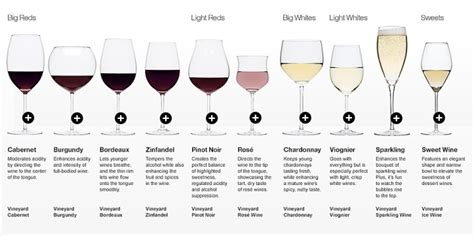 Wine Etiquette Choosing A Glass Just For Sybarites