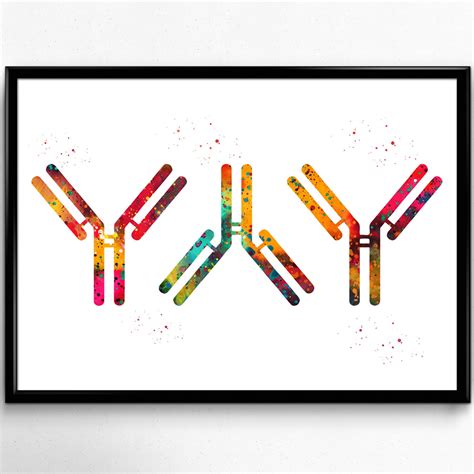 Antibody Watercolor Print Antibodies Medical Art Immunology Science