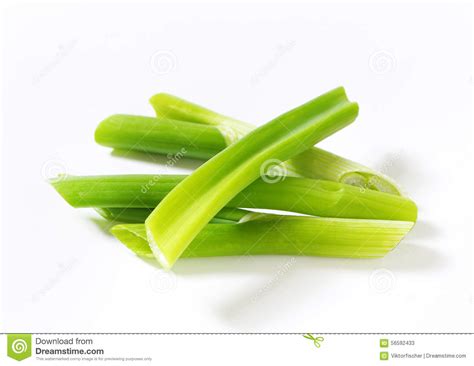 Green Onion Sticks Stock Image Image Of Organic Stalk 56592433