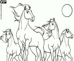 Desenhos de Spirit para colorir, jogos de pintar e imprimir