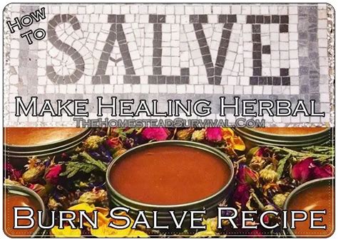 Make Healing Herbal Burn Salve Recipe The Homestead Survival