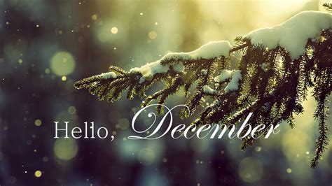 Hello December Letter In Snow Covered Tree Branch Bokeh Background Hd