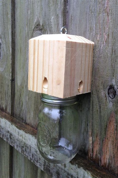 Maybe you would like to learn more about one of these? Carpenter Bee Traps....Bottle or Mason Jar NOT by CRWWoodworks | Carpenter bee trap, Bee traps ...