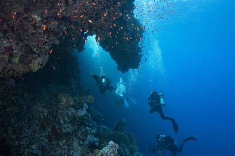 the best scuba diving spots in mykonos kivotos hotels