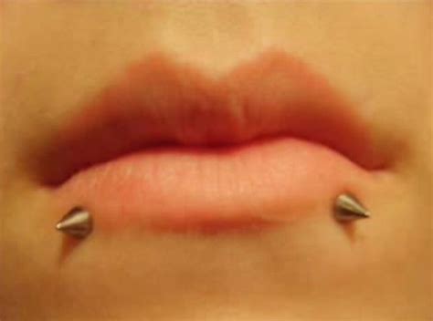 Snake Bites Lip Piercing Lip Piercing Jewelry Piercings