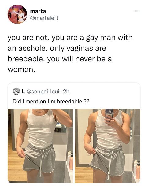 you are not [breedable] you are a gay man with an asshole an obvious troll tweets obvious