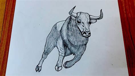 How To Draw A Bull Very Easy For Beginners Bull Easy Very Sketch Draw