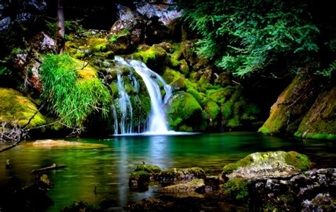 Free Download Hd Nature Wallpaper For Windows 7 Zoom