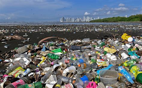 Plastikmüll Im Meer Sammelt Sich Vor Allem In Küstennähe Natur