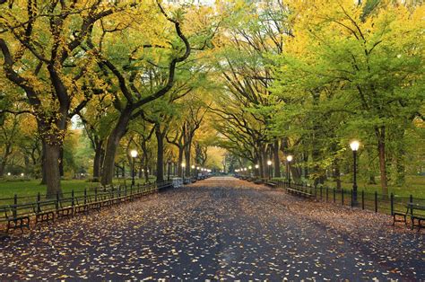 When not to go to Central Park?