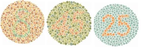 This Image Shows Three Of The Thirty Eight Ishihara Test Plates If