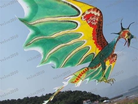 2017 Llfa1906 3d Avatar Dragon Pterosaur Kite Fr Pandora Art Deco Toy