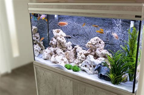 Beautiful Aquarium Ideas