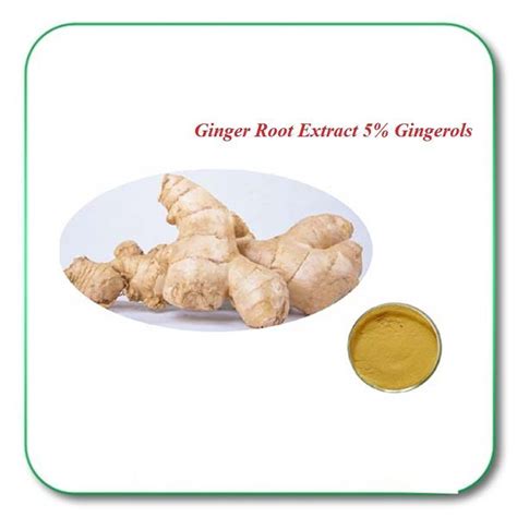 premium ginger root extract powder pure 5 gingerols supports digestive system ebay