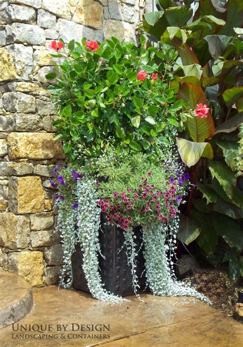 1567 Best Images About Container Gardens On Pinterest