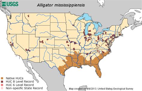 North American Alligator Range Map