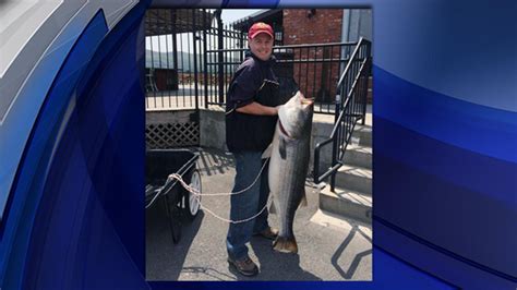 Fisherman Sets Record For Largest Striped Bass Caught In New York Cbs New York
