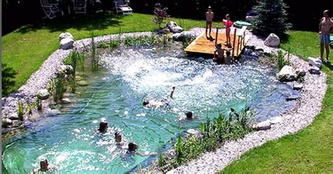 How To Build Your Own Natural Swimming Pool In Your Backyard In Just 7