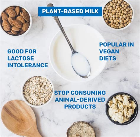 Plant Based Vs Animal Derived Milk Health Benefits Milky Day Blog