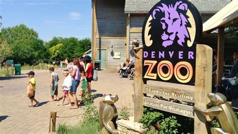 The Denver Zoo Fun And Adventure For All — Remax Alliance
