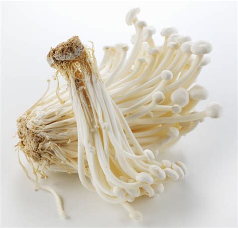 Fda Bans Import Of All Enoki Mushrooms From Korea For Listeria