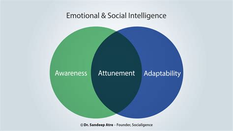 Understand The Concept Of Emotional And Social Intelligence With Socialigence