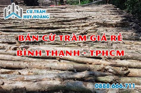 Giá Cừ Tràm Đà Lạt Bao Nhiêu Tiền 1 Cây Bán Cừ Tràm Tại Bảo Lộc Lâm Đồng