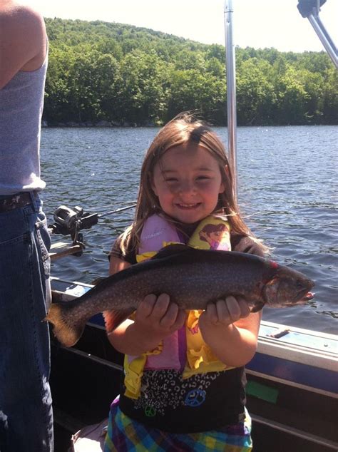 Brook Trout Lake George Maine Trout Lake Fishing Pictures Lake