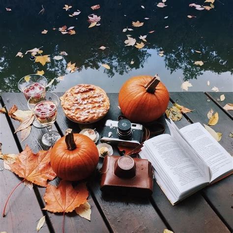 Pin By Tori Vikk On Autumn ↠ Autumn Cozy Autumn Aesthetic Autumn