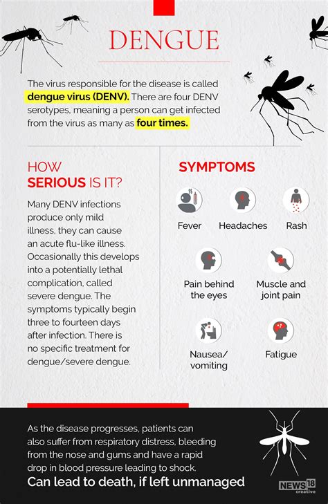 Dengue Cases Surge In India — A Look At Symptoms Treatment Prevention