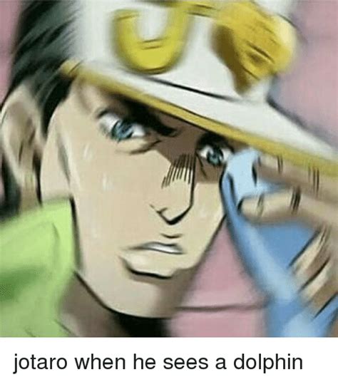 Jotaro When He Sees A Dolphin Meme On Sizzle