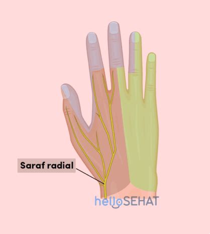 Ia melibatkan rasa sakit pada pergelangan tangan, terutamanya ketika menggerakkan ibu jari atau mendukung bayi. Sebutan Untuk Ibu Jari Tangan Dan Kaki - Mutakhir