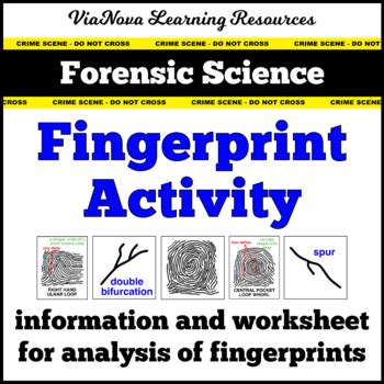 Each worksheet is a free downlaodable pdf file with and answer key attached on the second page. Forensic Science: Fingerprint Diagrams & Activity ...