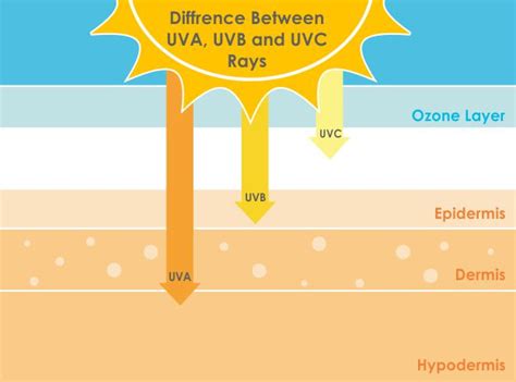 UVA, UVB, UVC rays | Debora Tentis