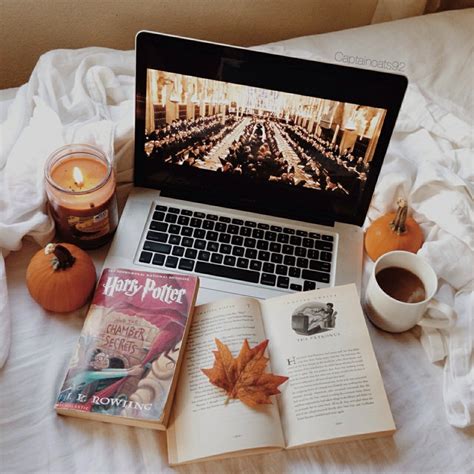 Pin By Sonitta On Harry Potter Things Harry Potter Aesthetic
