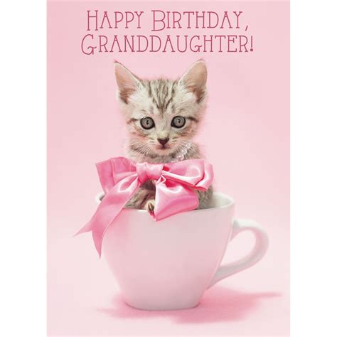 No matter her age, if she's still in diapers, or climbing trees in pigtails, or old enough to be in her own apartment, at any stage a granddaughter is a treasure. Birthday - Granddaughter - Juvenile SCD27240