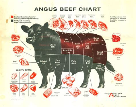 High Resolution Printable Beef Cuts Chart