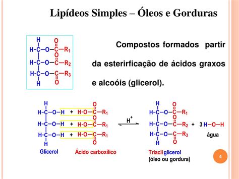 ácido Graxo De Cadeia Curta