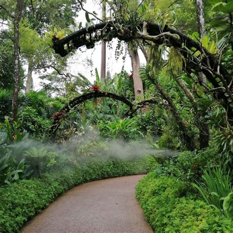 Singapore Botanic Garden Strolling Through Endless Beauty