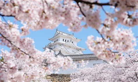 Spring In Japan When And Where To See The Cherry Blossoms In Japan