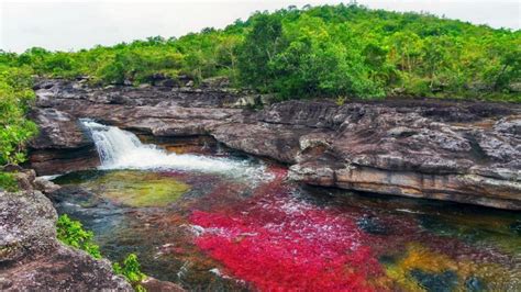 The Rainbow River In Colombia Worldation