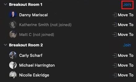 Zoom Breakout Rooms: How to Enable & Use Them for Group Sessions