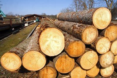 Maybe you would like to learn more about one of these? How to Identify Wood by Grain Patterns (with Pictures) | eHow