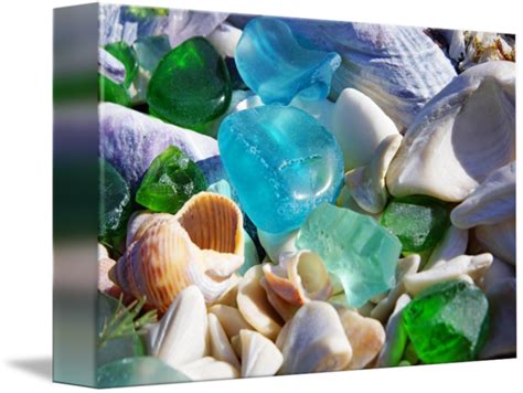 Seaglass Shells Blue Green Sea Glass Art Prints By Baslee Troutman Fine Art Prints